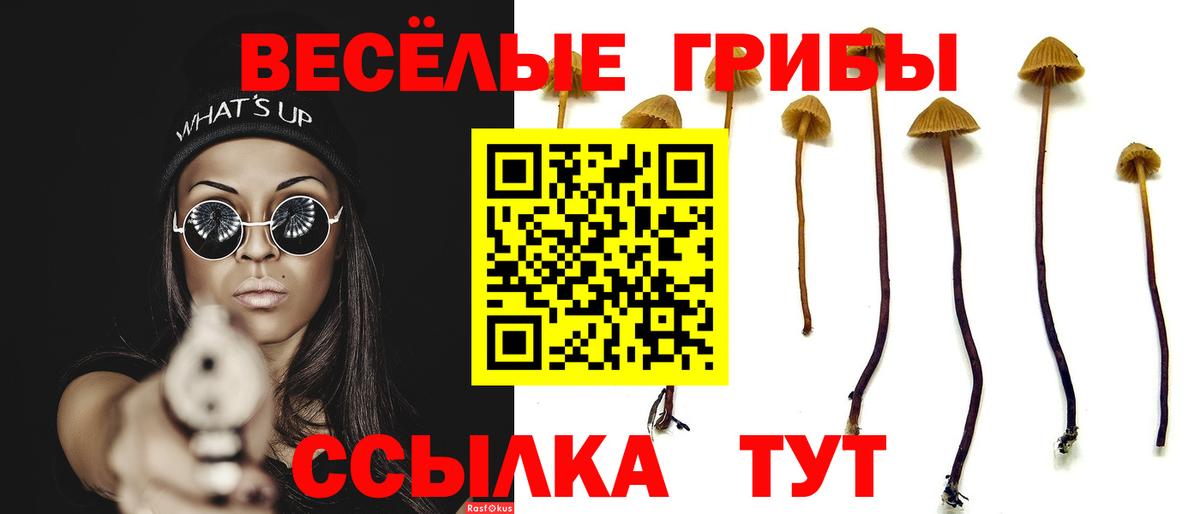 Галлюциногенные грибы прущие грибы  Галлюциногенные грибы Psilocybine cubensis  Вход с VPN  Изобильный 